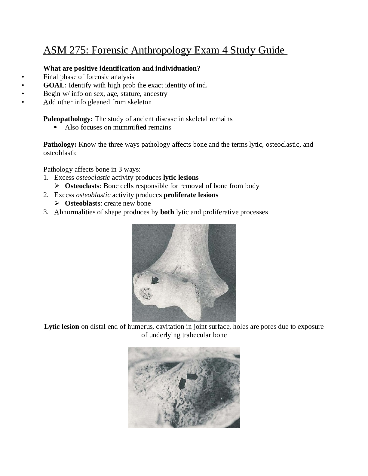 document-preview